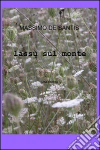 Lassù sul monte
