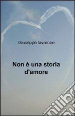 Non è una storia d'amore libro