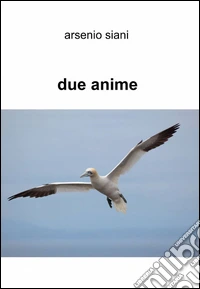 Due anime