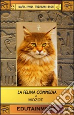 La felina commedia. Edutainment