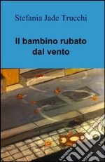 Il bambino rubato dal vento libro