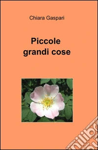 Piccole grandi cose libro