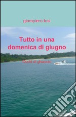 Tutto in una domenica di giugno libro