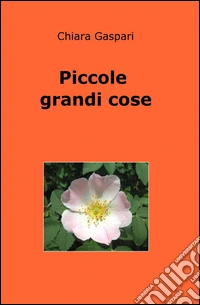Piccole grandi cose libro
