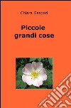 Piccole grandi cose libro