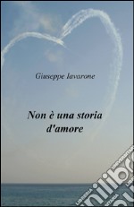 Non è una storia d'amore libro