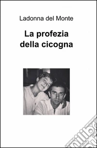 La profezia della cicogna libro