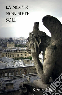 La notte non siete soli libro