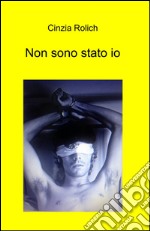 Non sono stato io libro