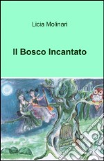 Il bosco incantato