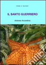 Il santo guerriero libro