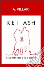 Kei Ash il cammino e la cenere libro