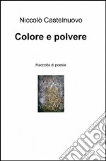 Colore e polvere libro