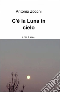 C'è la luna in cielo libro