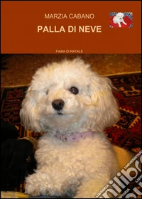Palla di neve libro