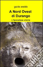 A nord ovest di Durango libro