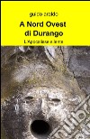 A nord ovest di Durango libro