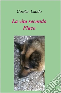 La vita secondo Flaco libro