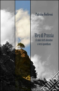 Bleu di Prussia. Il colore dell'abitudine o versi quotidiani libro
