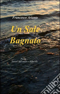 Un sale bagnato libro