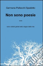 Non sono poesie...