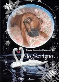Lo scrigno libro