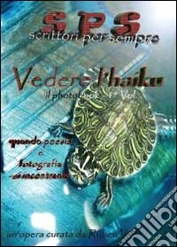 Vedere l'Haiku libro