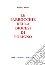 Le parrocchie della Diocesi di Foligno libro