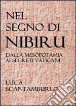 Nel segno di Nibiru. Dalla Mesopotamia ai segreti vaticani libro