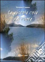 Le piccole cose dal cuore libro