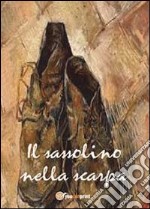 Il sassolino nella scarpa libro