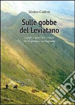 Sulle gobbe del Leviatano