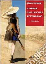 Sembra che le cose attendano libro