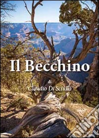 Il becchino libro