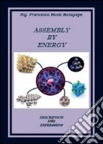 Assembly by energy libro