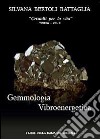 Gemmologia vibroenergetica. Fondamenti di cristalloterapia vibroenergetica libro