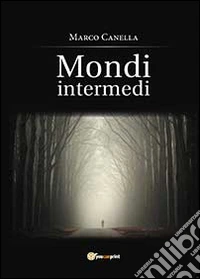 Mondi intermedi