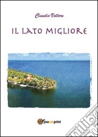 Il lato migliore libro