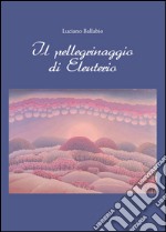 Il pellegrinaggio di Eleuterio libro