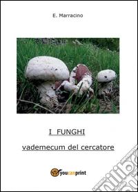 I funghi