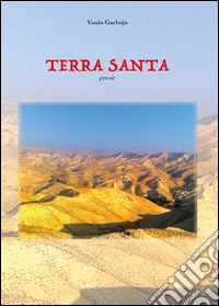 Terra santa libro