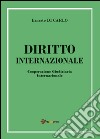 Diritto internazionale. Cooperazione giudiziaria internazionale libro