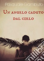 Un angelo caduto dal cielo