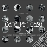 Cane per caso