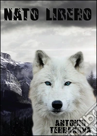 Nato libero