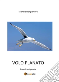 Volo planato