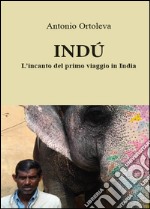 Indù. L'incanto del primo viaggio in India