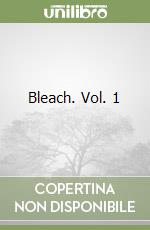 Bleach. Vol. 1