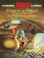 Come fu che Obelix cadde da piccolo nel paiolo del druido. Asterix libro