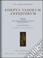 Corpus vasorum antiquorum. Italia. Vol. 78: Napoli, museo nazionale. Collezione Spinelli 3 libro